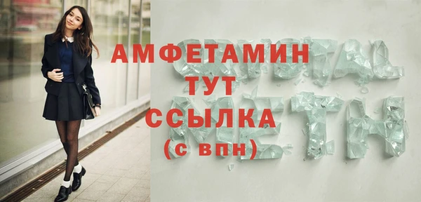 Альфа ПВП Бородино