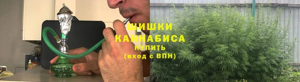 Альфа ПВП Бородино