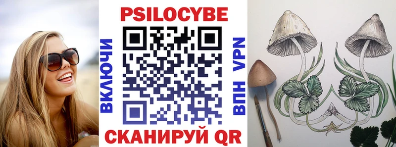 Галлюциногенные грибы Psilocybe  Бутурлиновка 